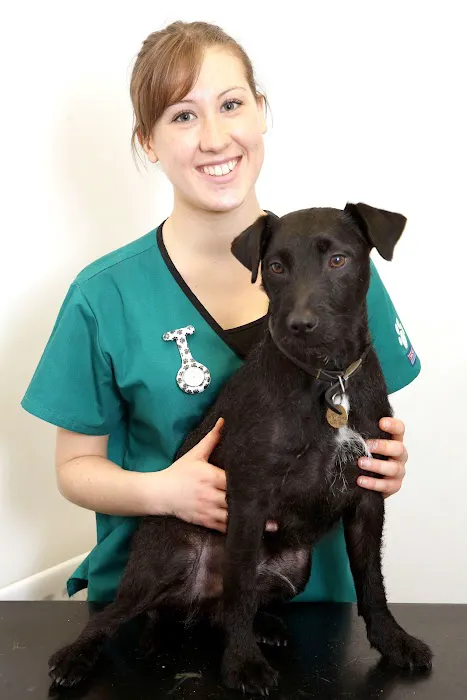 Prince Bishop Vets Picture 4