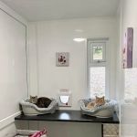 Greenfield Lodge Cattery