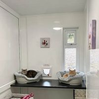 Greenfield Lodge Cattery ico