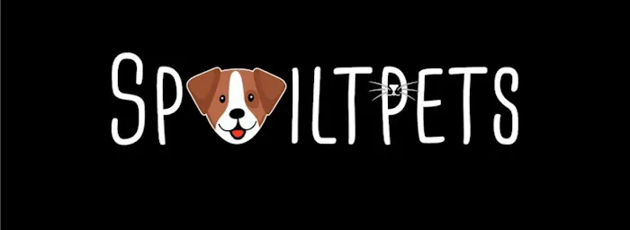 Spoilt pets Picture 2