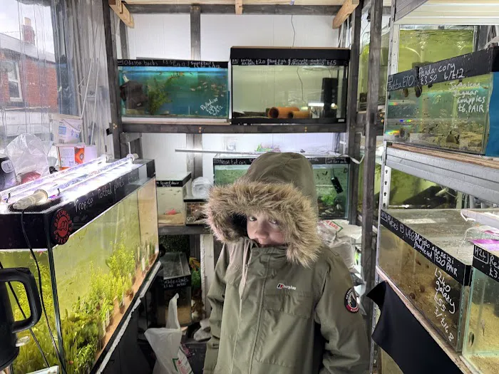 Gateshead Guppies Picture 1