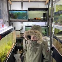 Gateshead Guppies ico