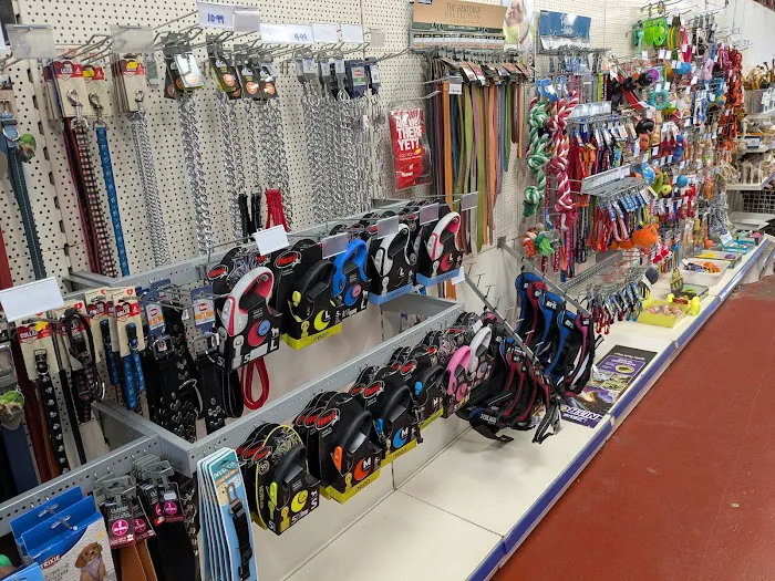 Discount Pet Superstore - Phillips Pet Supplies Ltd Picture 4