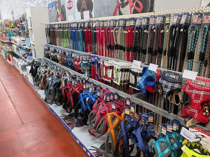 Discount Pet Superstore - Phillips Pet Supplies Ltd Picture 1