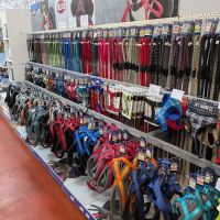 Discount Pet Superstore - Phillips Pet Supplies Ltd ico