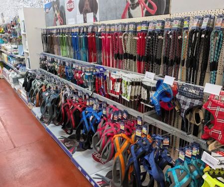 Discount Pet Superstore - Phillips Pet Supplies Ltd