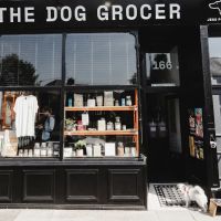 The Dog Grocer ico