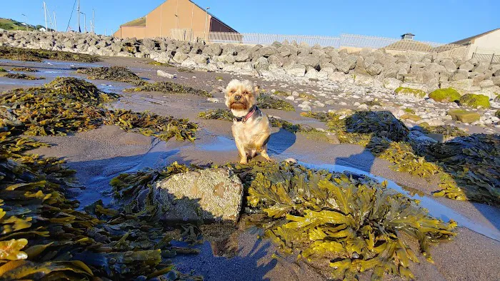 The Vet Whitehaven Picture 7