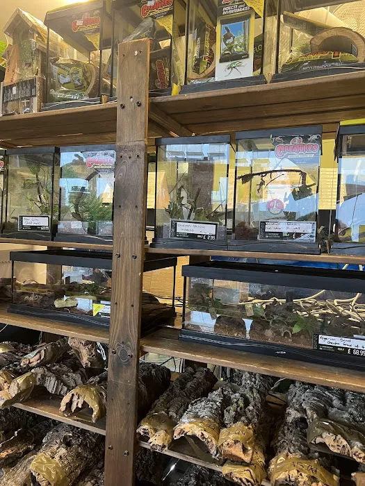 Dragons Den Exotic Pets- Reptiles, Snakes, Amphibians, Lizards, Arachnids Picture 1