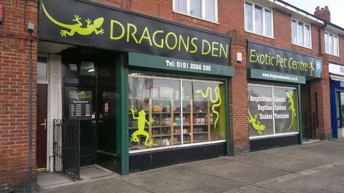 Dragons Den Exotic Pets- Reptiles, Snakes, Amphibians, Lizards, Arachnids Picture 3