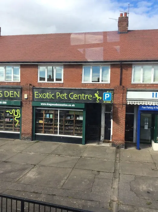 Dragons Den Exotic Pets- Reptiles, Snakes, Amphibians, Lizards, Arachnids Picture 10