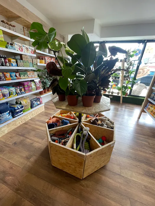 Alfie and Tuckers Picture 6