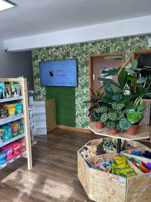 Alfie and Tuckers Picture 2