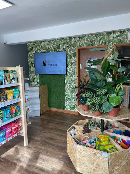 Alfie and Tuckers Picture 5