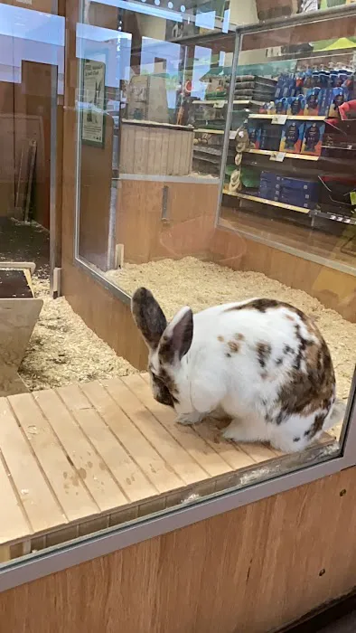 Pets at Home Newcastle Byker Picture 9