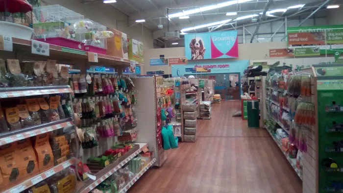 Pets at Home Newcastle Byker Picture 7