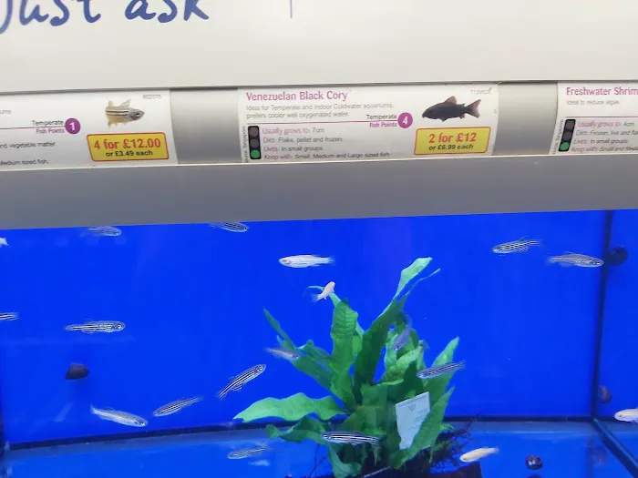 Pets at Home Newcastle Byker Picture 2