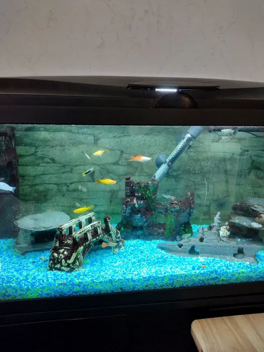 Pets at Home Newcastle Byker Picture 3