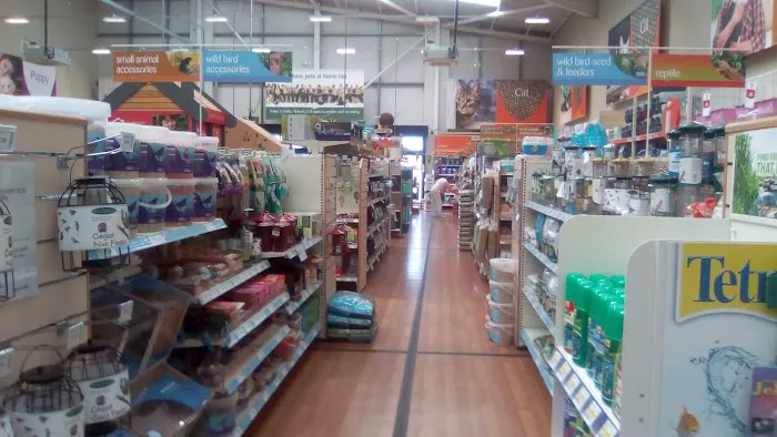 Pets at Home Newcastle Byker Picture 10