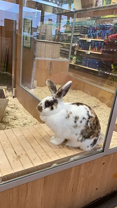 Pets at Home Newcastle Byker Picture 5