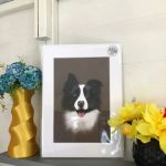 PawPrints3D