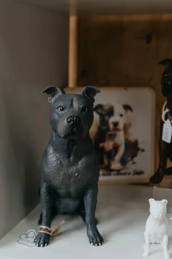 PawPrints3D Picture 3