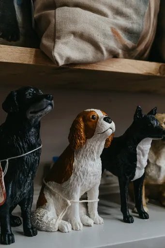 PawPrints3D Picture 5