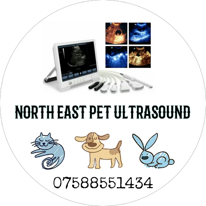 North East Pet Ultrasound Picture 6
