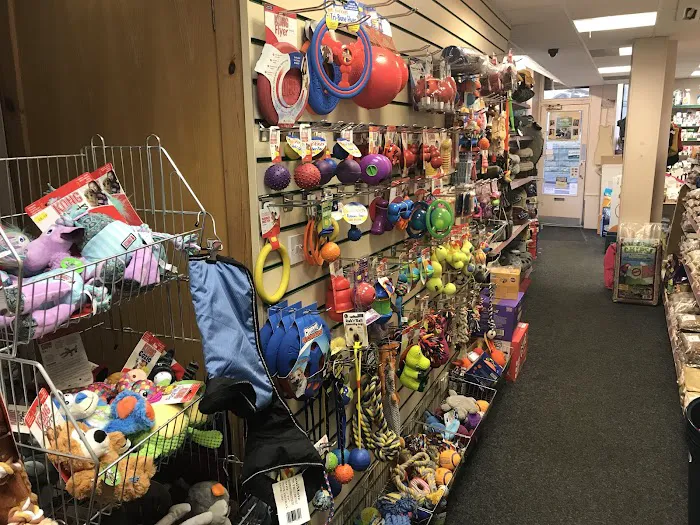 Animal Forum Picture 2