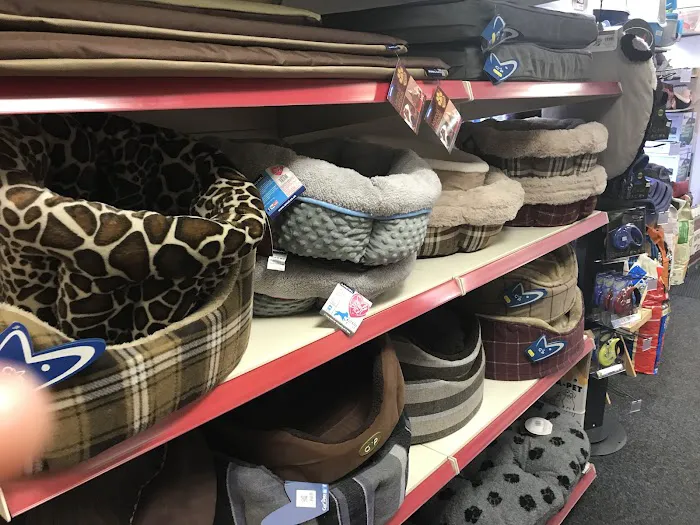 Animal Forum Picture 3