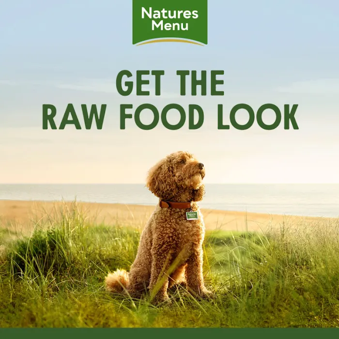 Animal Forum Picture 8