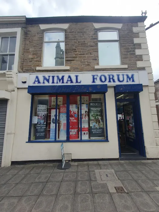 Animal Forum Picture 4