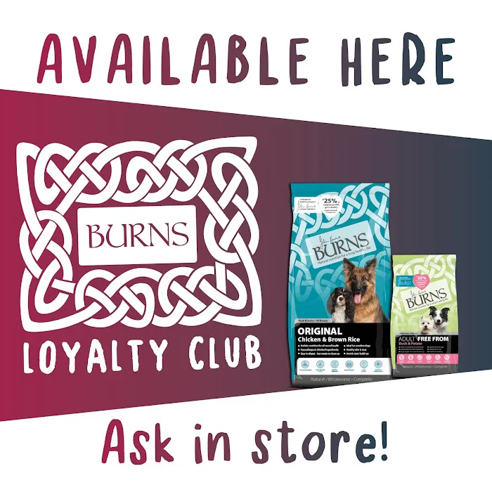 Animal Forum Picture 7