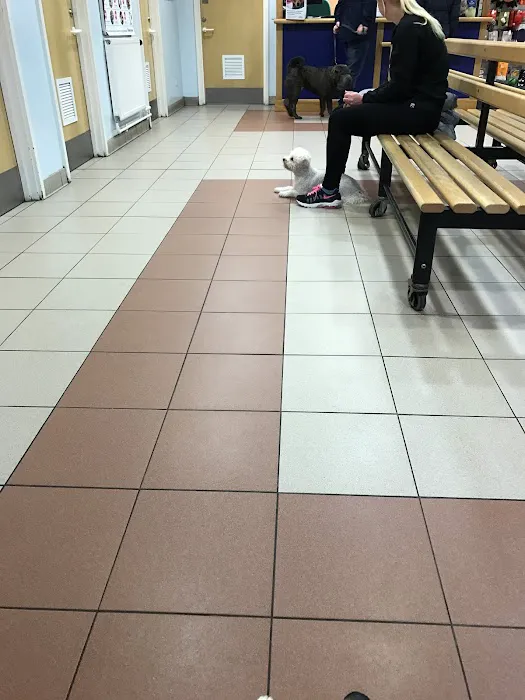 Newcastle-Upon-Tyne PDSA Pet Hospital Picture 10