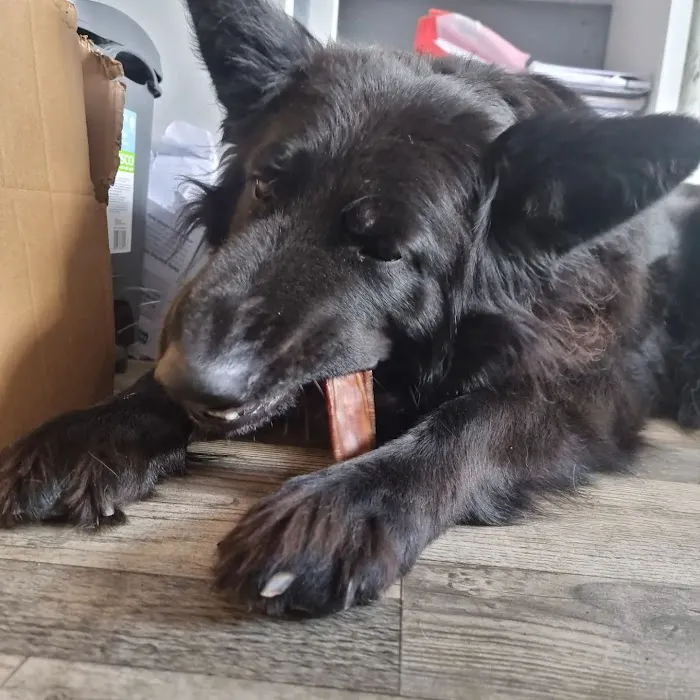 Larmar Star Pet Supplies Picture 10