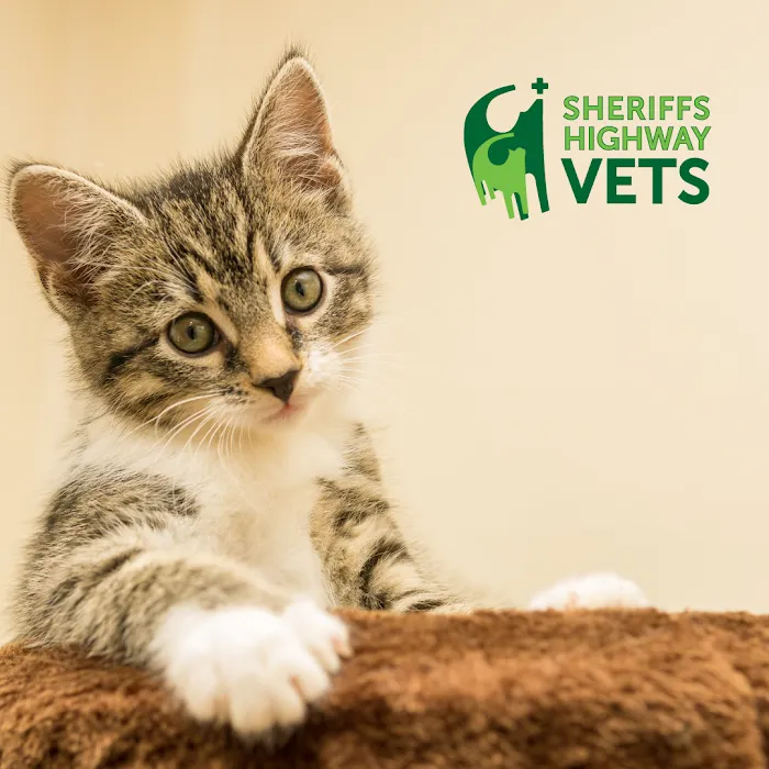 Sheriffs Highway Vets Picture 10