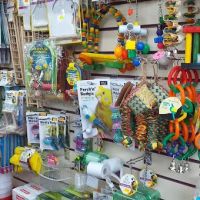 (Michelle) Smith’s pet supplies ico