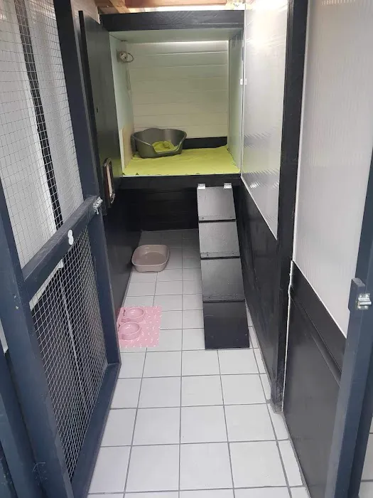 Canklow Meadows Cattery Picture 1