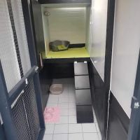 Canklow Meadows Cattery ico