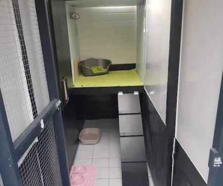 Canklow Meadows Cattery