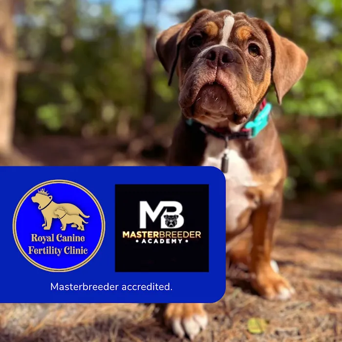 RBK Pet Supplies Limited & Royal Canine Fertility Clinic Picture 10