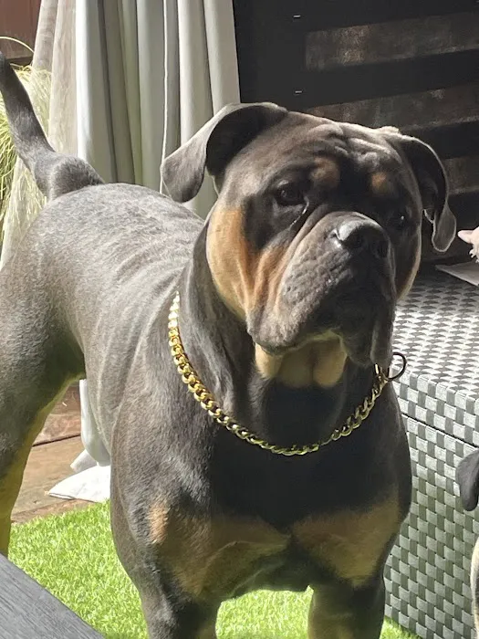 RBK Pet Supplies Limited & Royal Canine Fertility Clinic Picture 2