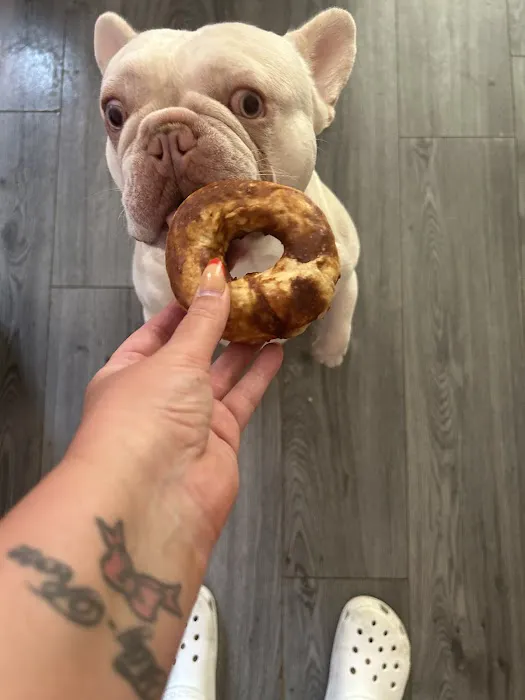 RBK Pet Supplies Limited & Royal Canine Fertility Clinic Picture 5