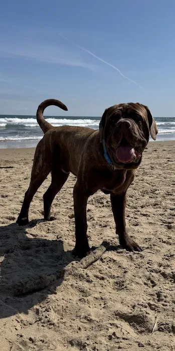 RBK Pet Supplies Limited & Royal Canine Fertility Clinic Picture 1