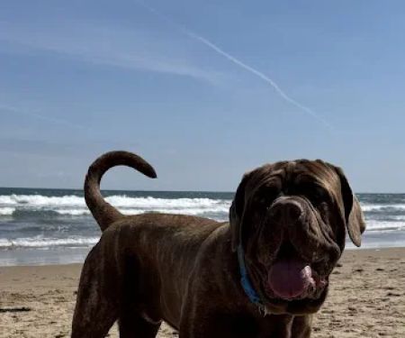 RBK Pet Supplies Limited & Royal Canine Fertility Clinic