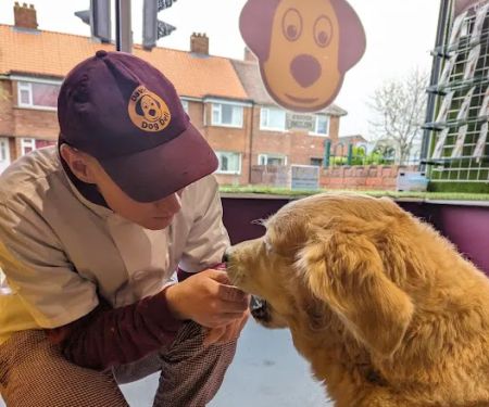 Davidu2019s Dog Deli