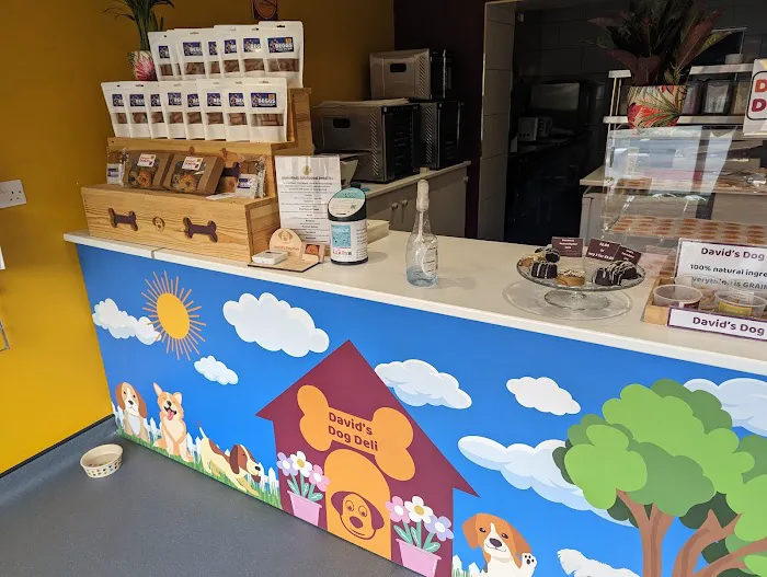 David’s Dog Deli Picture 5