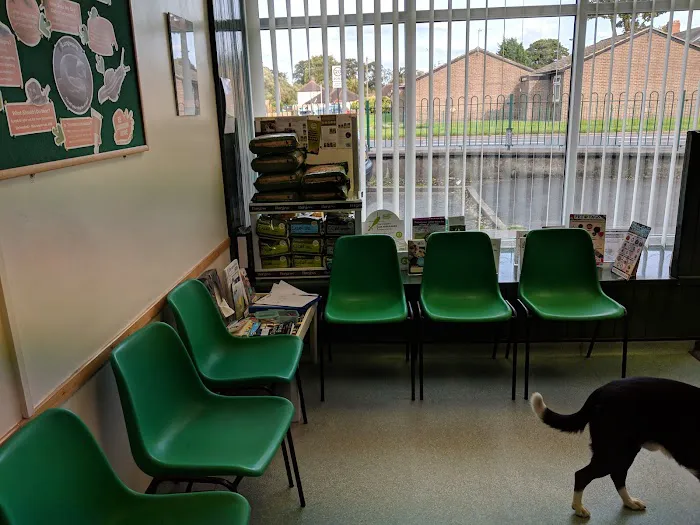 firstvets - Forest Hall Picture 4