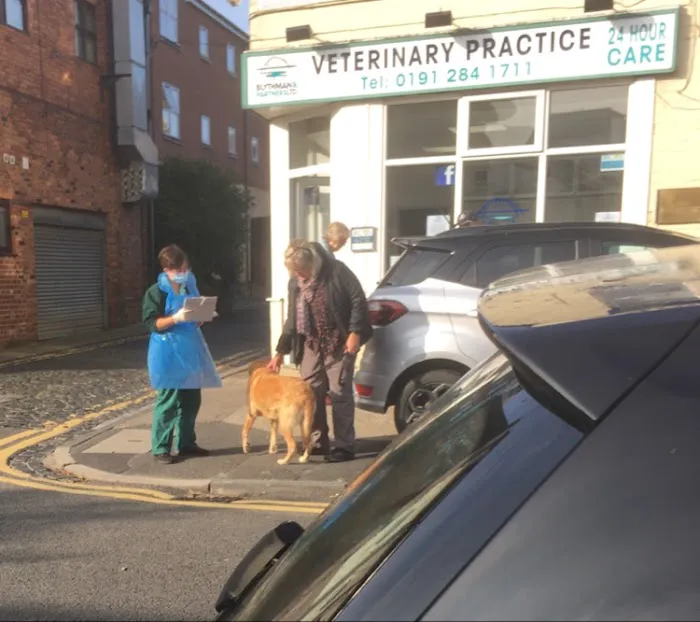 Blythman & Partners - Gosforth Veterinary Hospital Picture 4