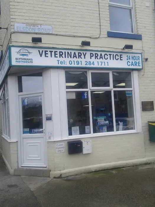 Blythman & Partners - Gosforth Veterinary Hospital Picture 1